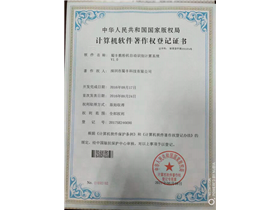 Honorary qualification of Internet technology